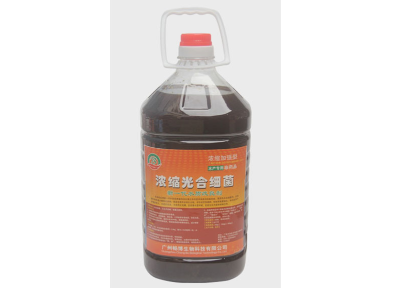 濃縮光合細(xì)菌