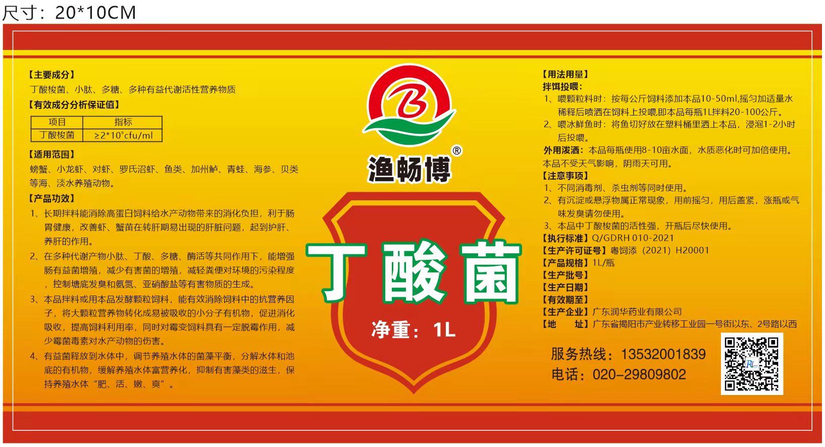 丁酸菌